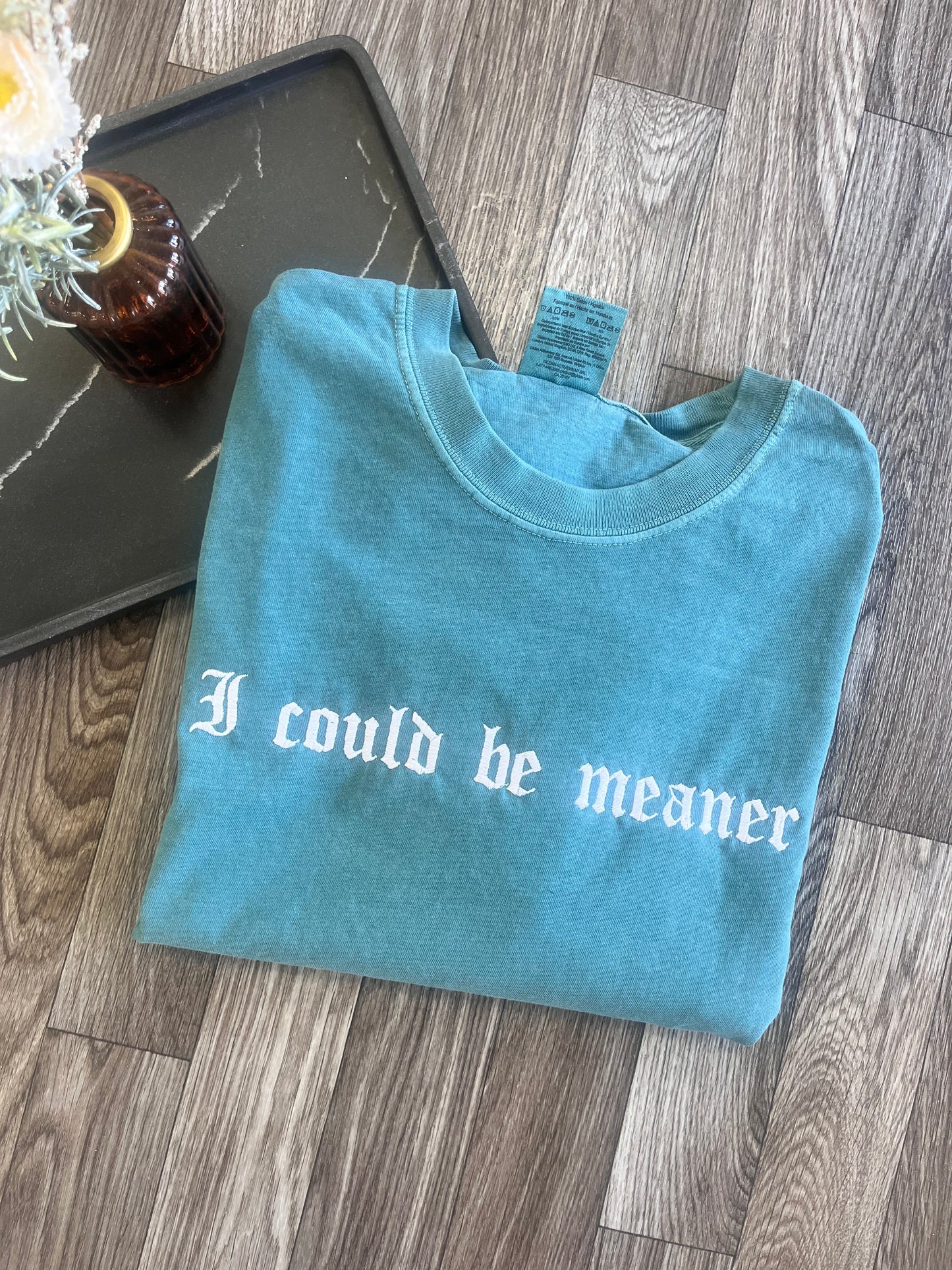 I Could Be Meaner Tshirt (2)